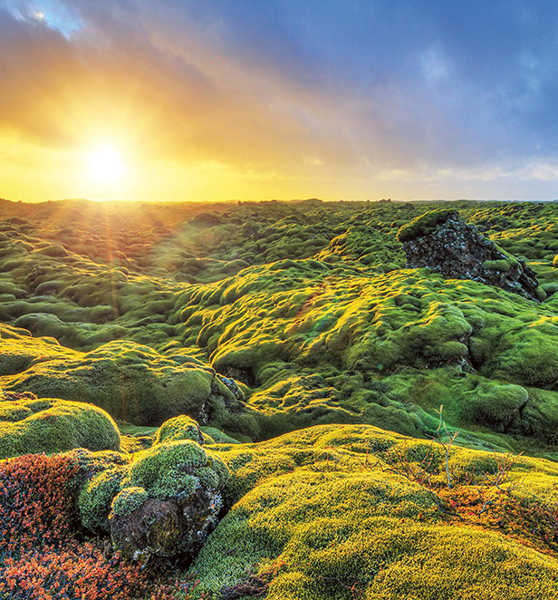 Eldhraun lava field, Iceland