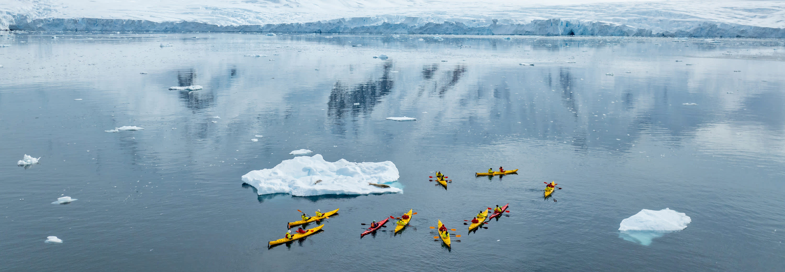 Kayak amid the frozen beauty of Antarctica