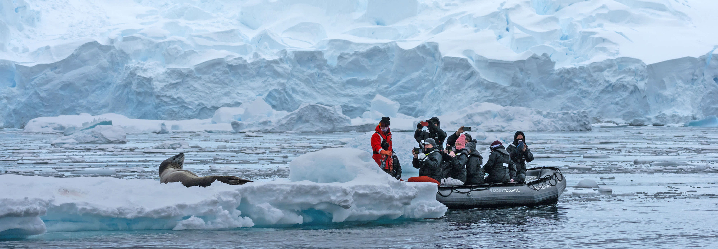 Experience unique moments on Zodiac excursions