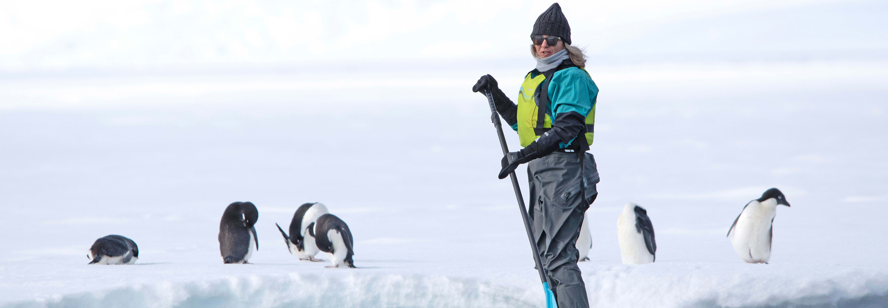 Observe the curious locals in their natural environment