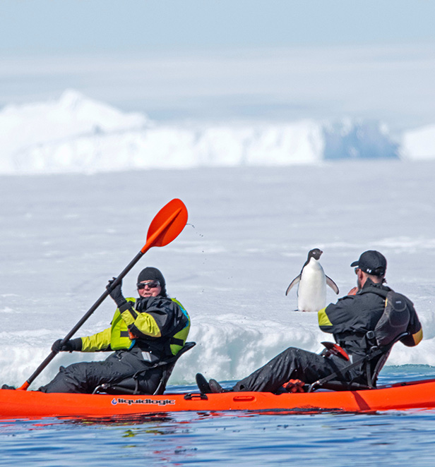 Scenic Eclipse II guests kayaking past penguins in Cape Denison, East Antarctica