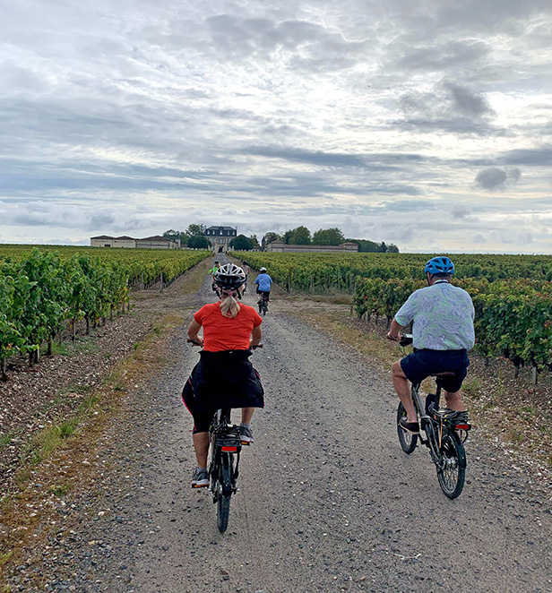 e-biking through Médoc vineyards, Médoc, Bordeaux, France