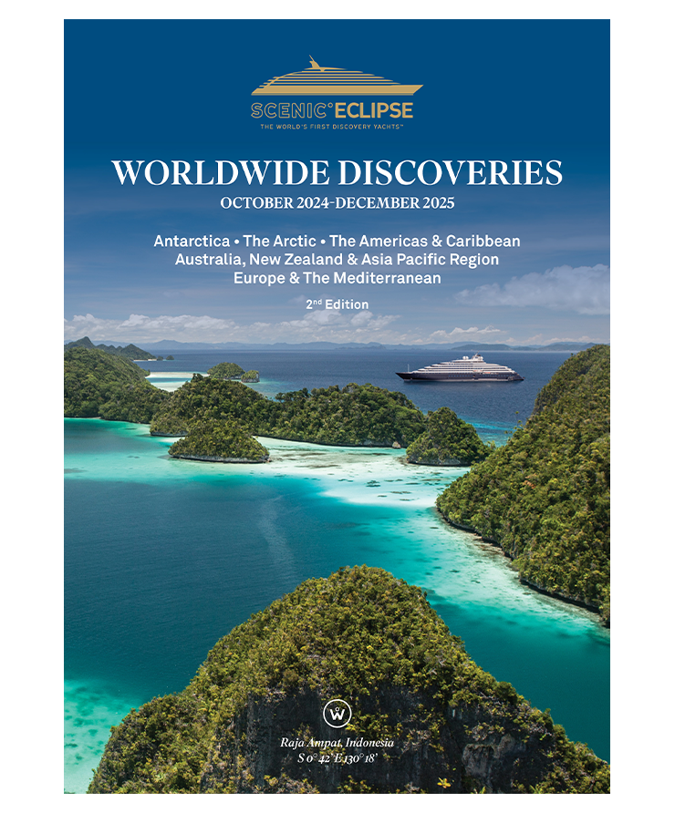 WW Discoveries new brochure cover